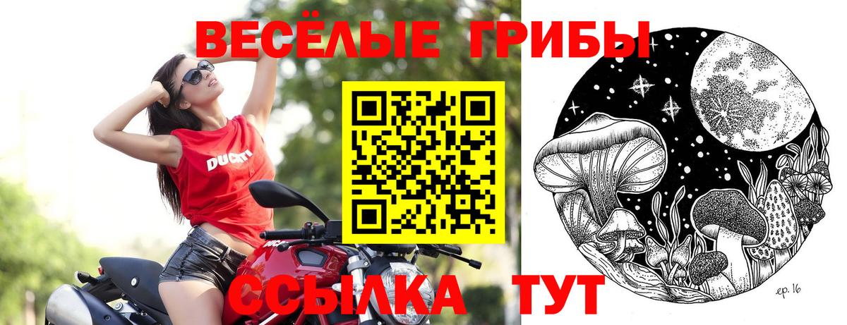 Уварово  Псилоцибиновые грибы мухоморы  Псилоцибиновые грибы Psilocybine cubensis  Вход с VPN 
